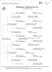 Voir la fiche détaillée