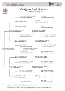 Voir la fiche détaillée