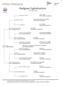 Voir la fiche détaillée