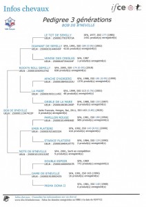 Voir la fiche détaillée