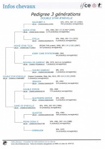 Voir la fiche détaillée