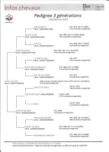 Voir la fiche détaillée