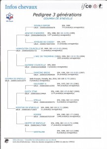 Voir la fiche détaillée