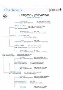 Voir la fiche détaillée