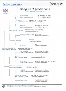 Voir la fiche détaillée