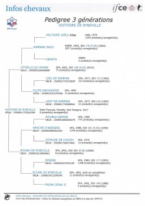 Voir la fiche détaillée