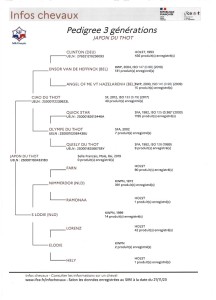 Voir la fiche détaillée